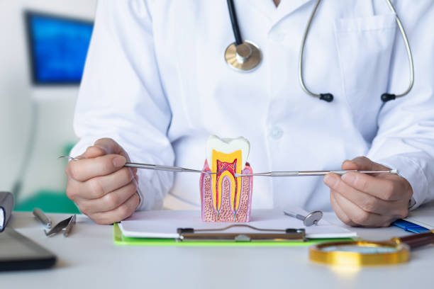 Best Emergency Treatment for Toothache in Wadena, MN